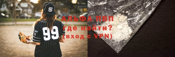 прущие грибы Нефтекумск