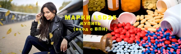 прущие грибы Нефтекумск