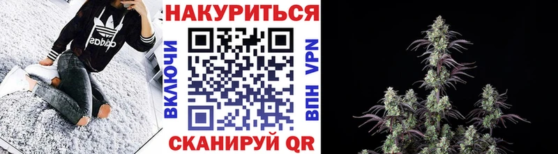 Канабис тримм  где продают наркотики  Змеиногорск 